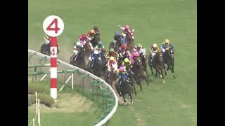 ラインクラフト 2005年 第65回桜花賞(GI) (優勝馬：ラインクラフト)