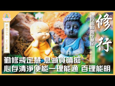 【 象神金殿 】 : 《 佛系真如 弘法利生 》 | 釋佛法  笑紅塵 | 修行 | 住持現場弘法分享 | 粵語講述 | 中文字幕 | Practice is an inner ......