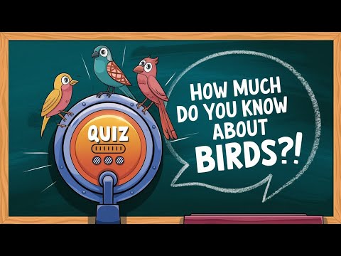 General knowledge Quiz | Birds | Brainwave Quiz Challenge