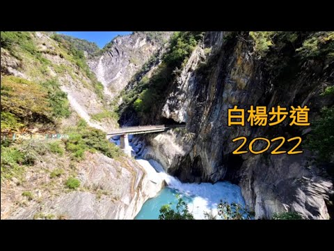 白楊步道 2022