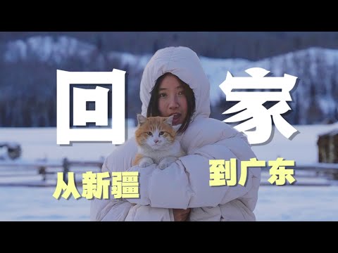 逃离零下20度：小猫，咱们回家吧｜我在新疆捡了只猫