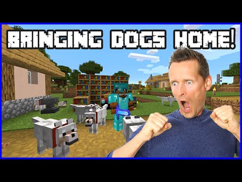 BRINGING MY DOGS BACK HOME!