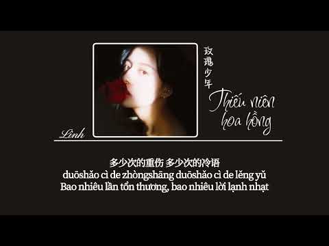 [Vietsub] Thiếu niên hoa hồng • Vương Tĩnh Văn ♪ 玫瑰少年 • 王靖雯