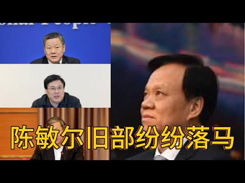 （20241227第393期）陈敏尔起个大早没赶上晚集｜帮派内斗究竟鹿死谁手｜