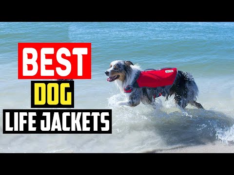 ✅Best Dog Life Jackets