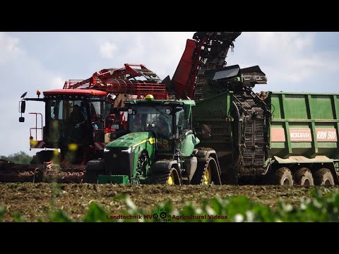 Holmer - John Deere - Bergmann / Rübenernte - Harvesting Beets