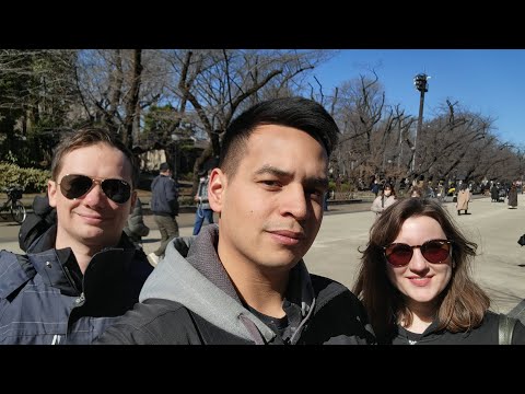 Tokyo Walk Live! Come Chat & Chill With Us!