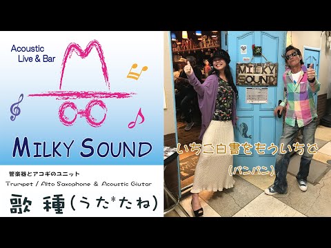 【 いちご白書をもう一度 / バンバン 】Cover 神戸新開地音楽祭　2024.05.11 ＠Milky Sound