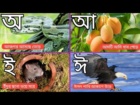 অ আ ই ঈ উ ঊ ঋ এ ঐ ও ঔ  | স্বরবর্ণ অ আ ই ঈ | bangla Soroborno | ছোটদের অ আ ই ঈ