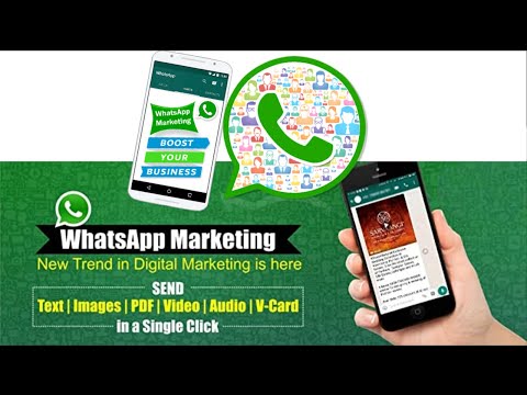 WhatsApp For Marketing & Promotion | Download WhatsApp Group Contacts in Excel Sheet | Free tools