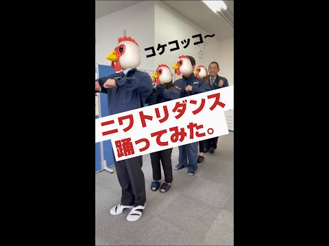 【株式会社アクセル】みんなでニワトリダンス踊ってみた。