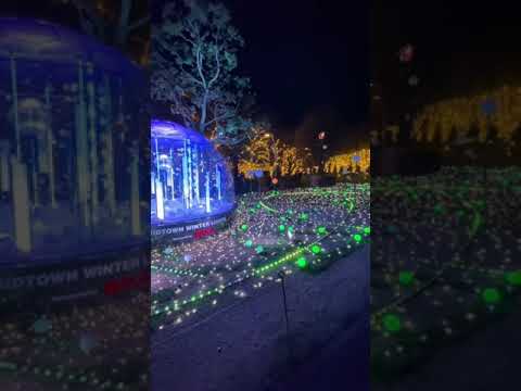 【今週のお散歩】Vol.10 MIDTOWN WINTER LIGHTS_20211128