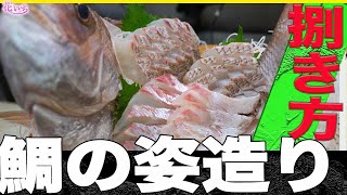 【鯛の姿造り】基本の鯛捌き方！刺身盛り合わせのコツ教えます！