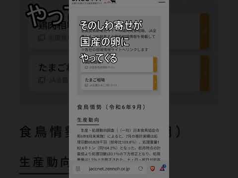 【日本農業の衰退】国産の鶏卵消費が戻らない理由　#国産　＃卵　＃無添加　＃卵料理