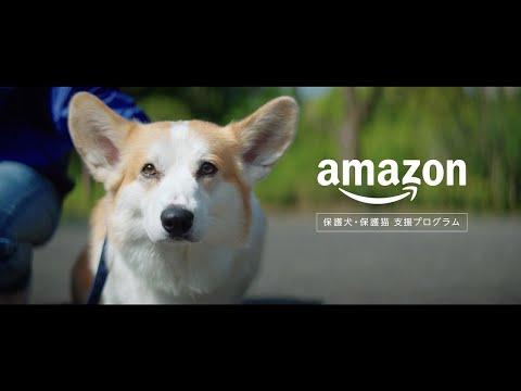 Amazon 保護犬・保護猫 支援プログラム 「迎え入れたい明日につながる」篇