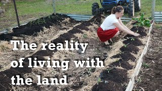 Growing your own food is hard - Free Range Homestead Ep 76