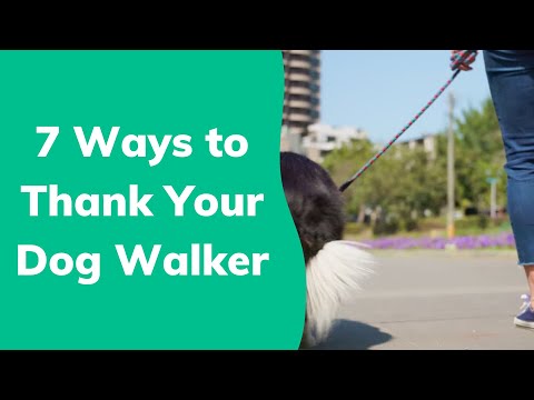 7 Ways to Show Appreciation for Your Dog Walker | Wag!