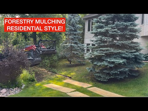 Backyard Forestry Mulching