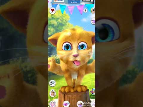 Talking Tom Ginger 2 funny 🤣🤣 #funny #shorts #short