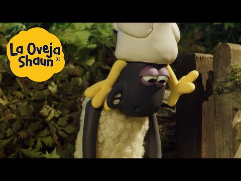 La Oveja Shaun 🐑 Sombrero de pollo 🐑 Dibujos animados para niños