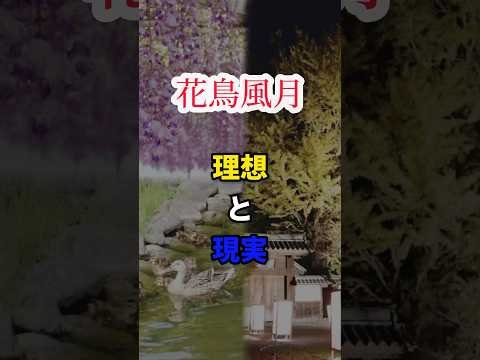 【花鳥風月】理想と現実　#shorts #short #自然