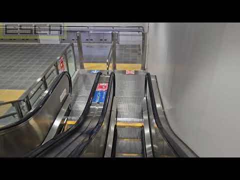 [2 units] Sendai Renbo Station Escalator Down Fujitec Subway Tozai Line T09