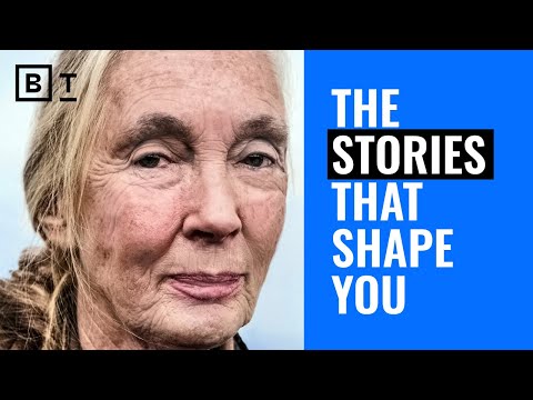 How to tell stories that give you meaning | Jane Goodall, Terry Crews & Dan McAdams