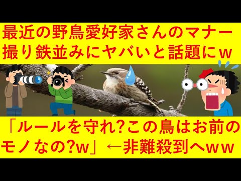 【悲報】最近の野鳥愛好家さん、撮り鉄並みにマナーがヤバ過ぎることが判明へ！！「構図をパクられないよう、撮影後に鳥の巣は破壊しますww」「は？ルールを守れ？この鳥はお前のものなの？ｗｗ」←ｗｗｗｗｗｗ