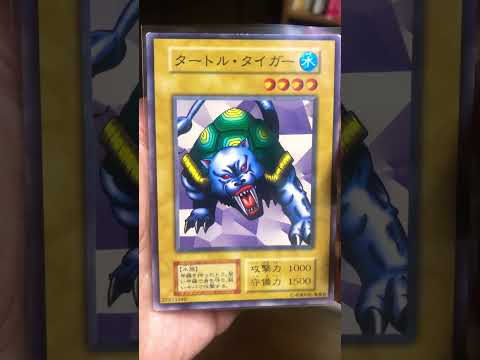 遊戯王　タートルタイガー