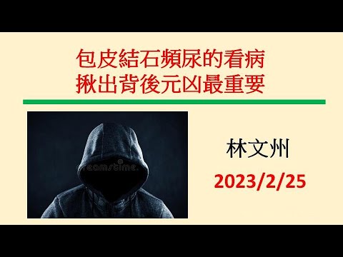 包皮結石頻尿的看病揪出背後元凶最重要─林文州20230225