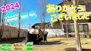 【芝生と雑木の庭】年末のご挨拶、皆様、1年間ご視聴頂き、有難うございました！良いお年をお迎えください。