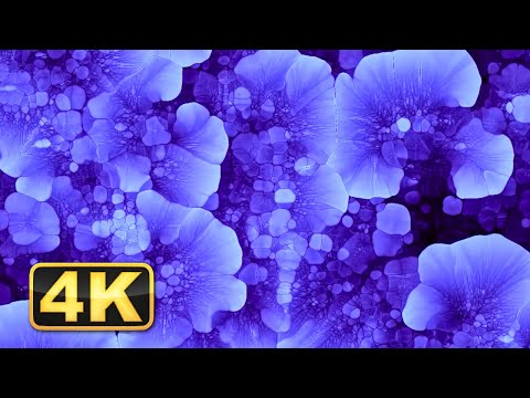 Abstract Satisfying Colorful Ink Drops! 1 Hour 4K Relaxing Screensaver for Meditation/Relaxing Music