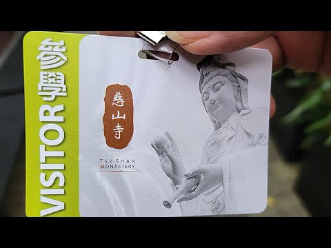 《太極練習》香港慈山寺2024年11月13日 (寺內不能打太極)