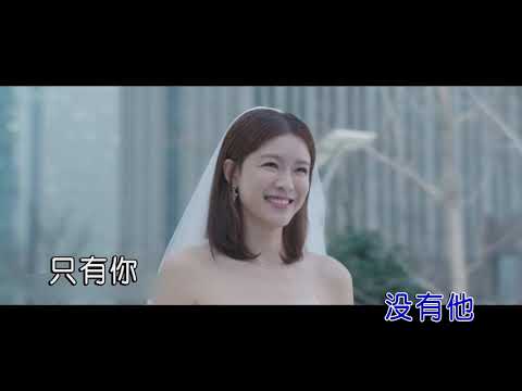 大张伟 我的心里只有你没有他 ktv伴奏视频歌词字幕