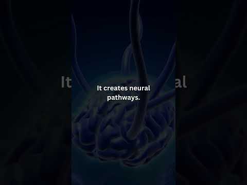 🔄 Habit Formation: The Brain's Blueprint Unveiled! #BrainHabits #NeuroScienceShorts