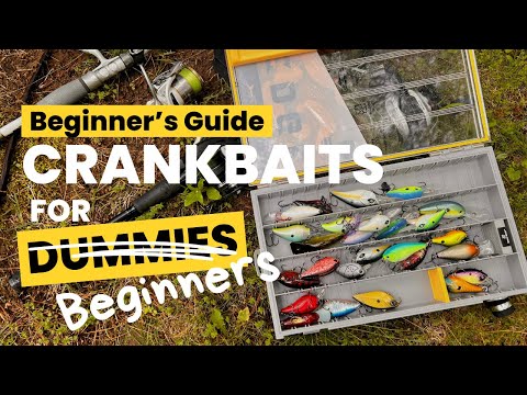 How To Fish A Crankbait: A Beginner's Guide