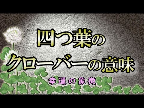 【幸運】四つ葉のクローバーが伝える４つのメッセージ