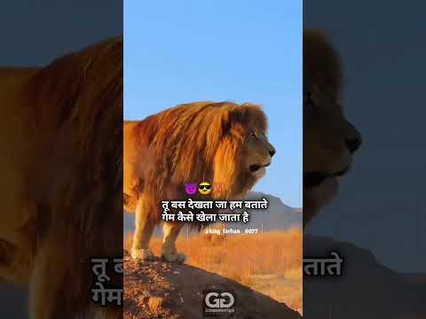 New shayari videos ||boy status || loin attitude status || terinding video