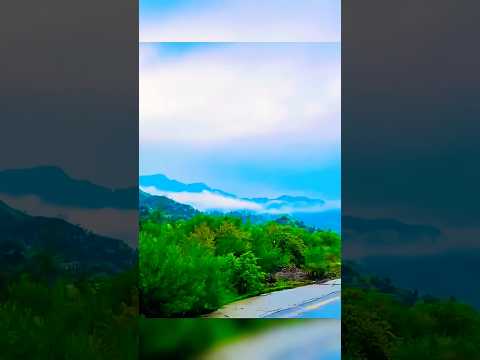 Kashmir Rain Weather Beautiful Views #kashmir #kashmirvalley #rain #weather #beautiful #viralvideo