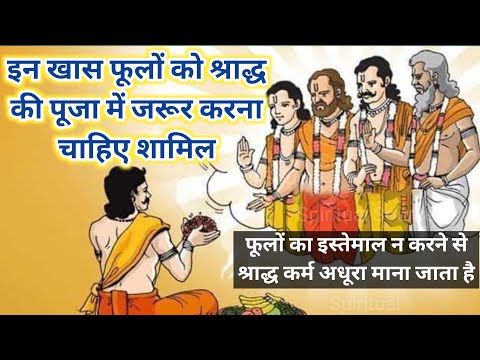 इस खास फूल को श्राद्ध की पूजा में जरूर करना चाहिए शामिल Shradh mein kya karna chahiye #pitrapaksha