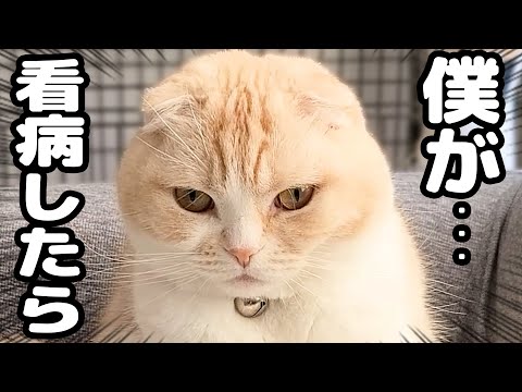 猫が徹夜で看病した結果こうなりました...