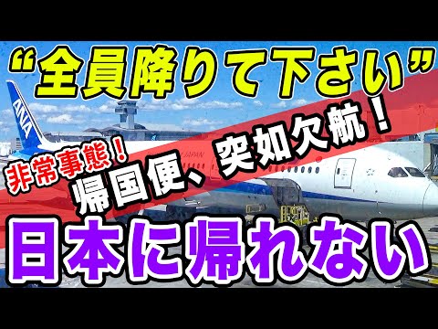 【緊急事態】ANA国際線、いきなり欠航！飛行機壊れてロサンゼルスから帰れない！日本帰国と出勤をかけ、全社会人トラベラー震撼の壮絶バトル、全記録。[ANA海外発券でLAX遠征 #15]