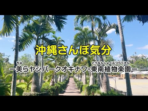 沖縄さんぽ気分～美らヤシパークオキナワ・東南植物楽園 編～