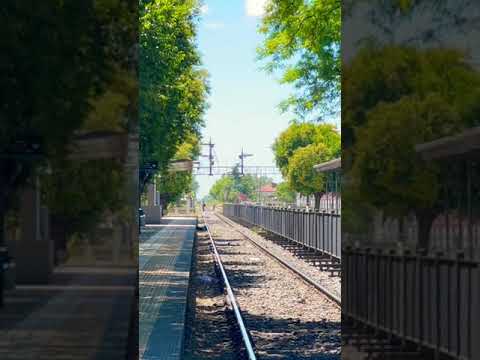 Esperando que venga el tren en General Rodríguez #shorts #tren #buenosaires