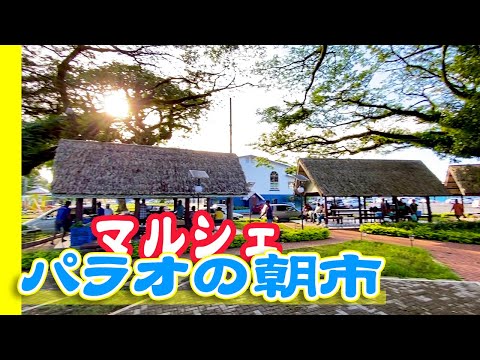 【新鮮野菜】パラオの朝市