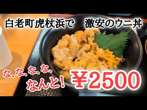 【北海道】『たらこ家虎杖浜』で数量限定うに丼ランチ🤤干物も絶品でリピート確定！