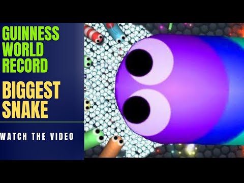 Snake. io | Guinness world record snake 🐍 | I made world biggest snake #freefire #snakeio #minecraft