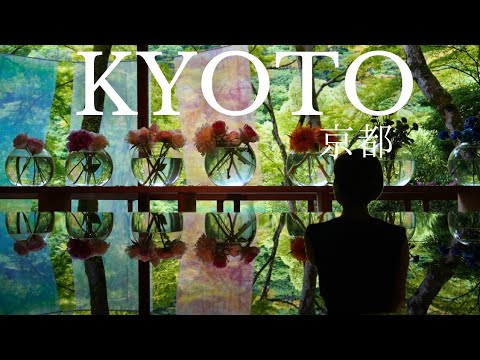 [Solo female travel in Kyoto] Enjoy a day of adult relaxation in Arashiyama | Yuusai Residence