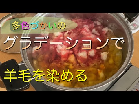 【染色】羊毛のグラデーション染め／ウール／化学染め／Wool dyeing