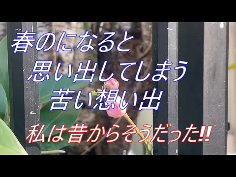 【70代の生活】あの頃は恥ずかしかった！今思い返せば笑ってしまう春の想い出